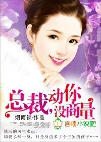 总裁,动你没商量