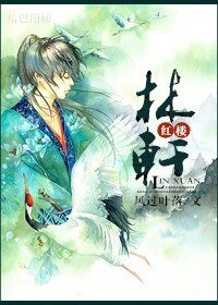 (BL-红楼同人)红楼之林轩