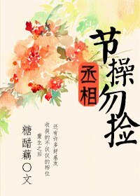 丞相,节操勿捡