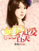 试婚娇宠:鲜妻追爱100天