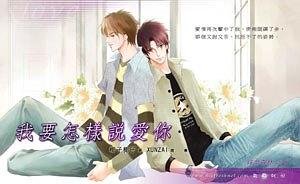 我要怎样说爱你(出书版)