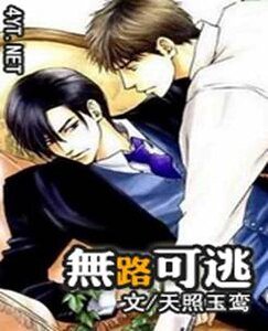 灰暗岁月（无路可逃）