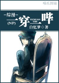 (综漫同人)一穿一哔