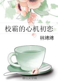 校霸的心機女友