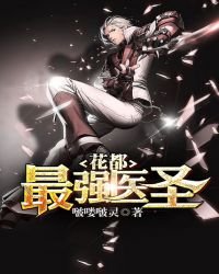 乡村透视神医(花都最强医圣)