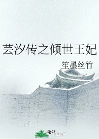 (综同人)芸汐传之倾世王妃