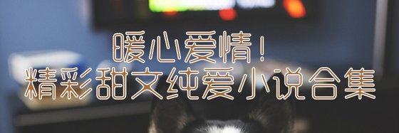 暖心爱情！精彩甜文纯爱小说合集