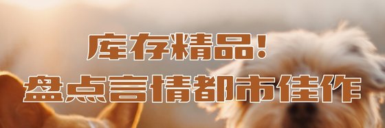 库存精品！盘点言情都市佳作