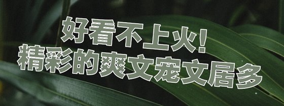 好看不上火！精彩的爽文宠文居多