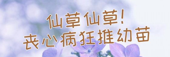 仙草仙草！丧心病狂推幼苗