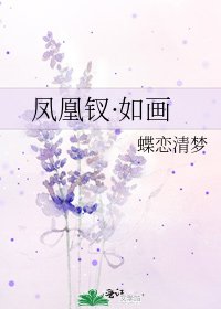 凤凰钗·如画