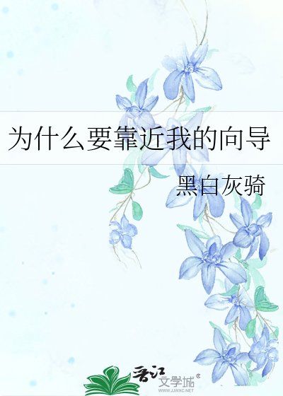 为什么要靠近我的向导