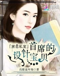 密恋私宠:首席的设计宝贝
